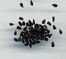 Nigella sativa: Black onion seeds (falsely 'black cumin')